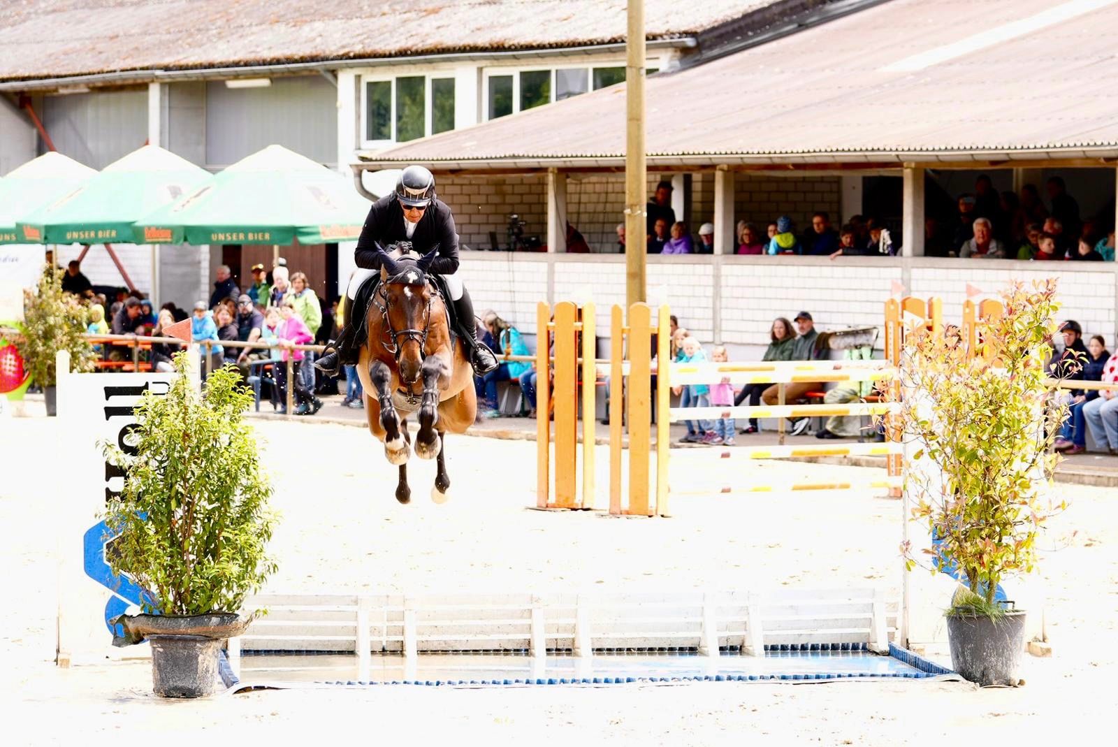 Internationaler Erfolg