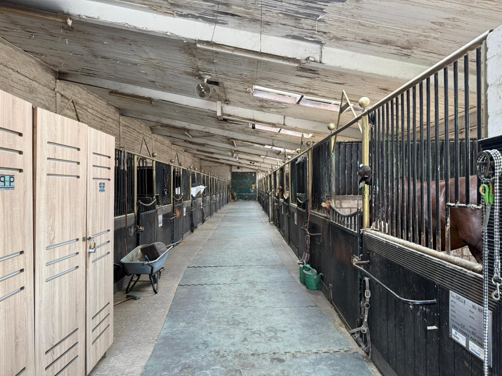 Stables